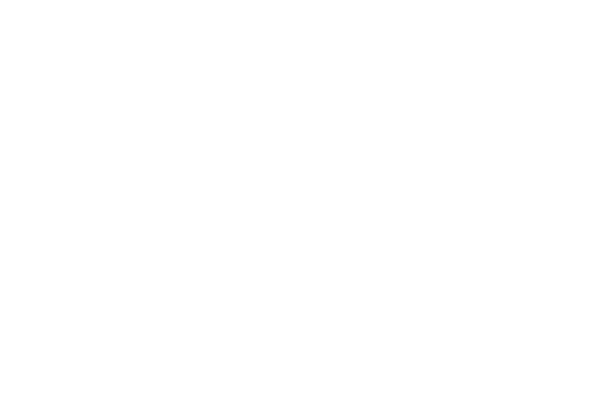 Asset 5